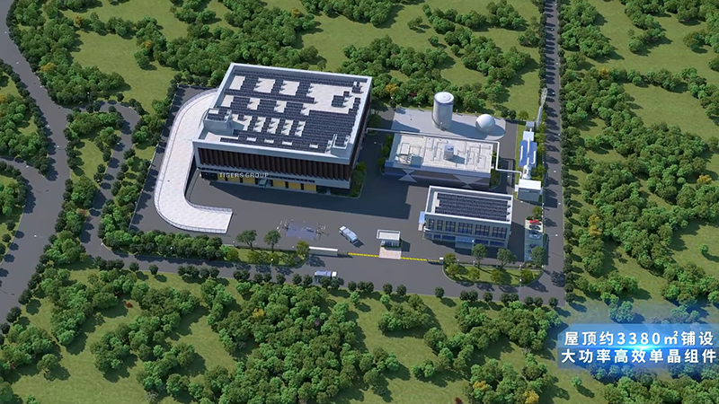 Waste Collection and Transportation Process Animation