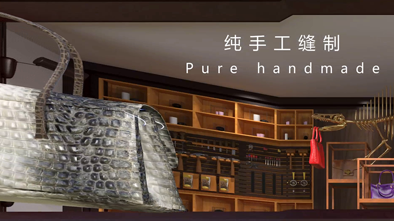 Crocodile and Toothpick Bird